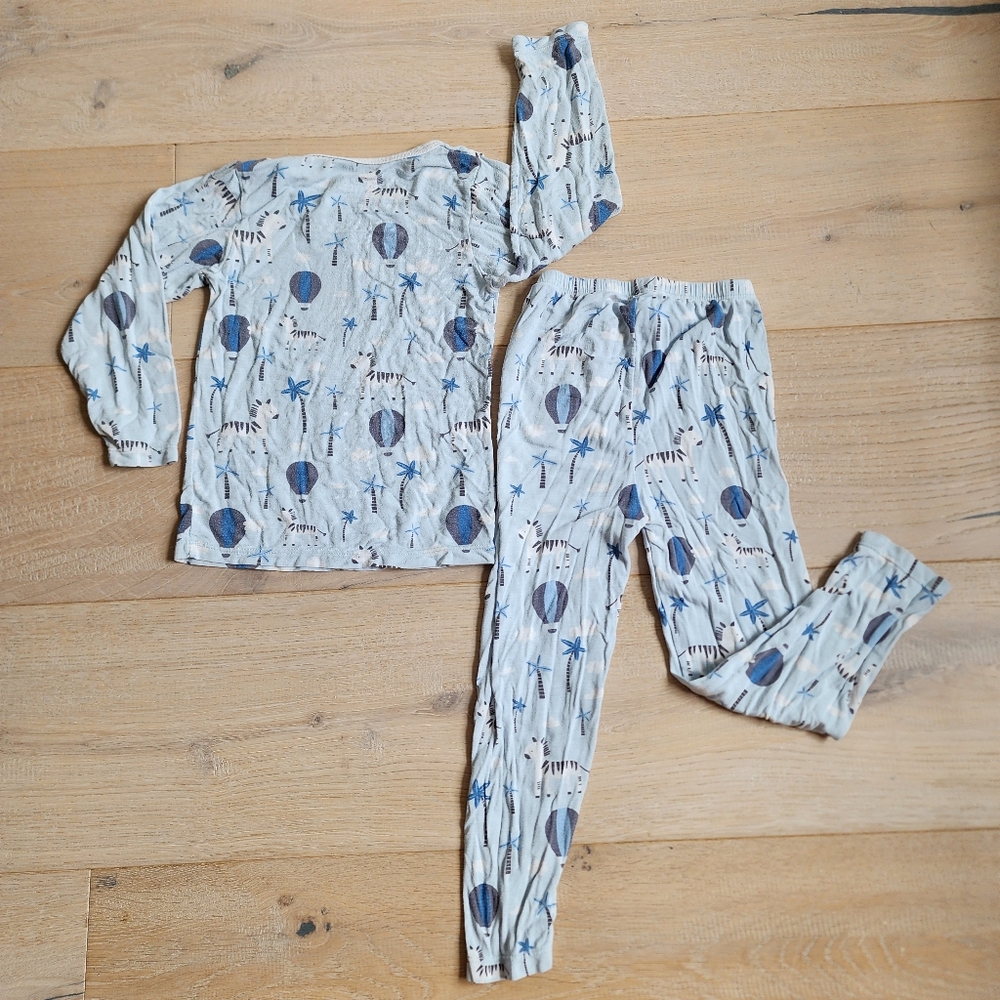 BESTAROO Zebra Pajamas Blue Long Sleeve 2/3T - Picture 2 of 7